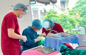 矯正装置を装着し、矯正治療を開始します。